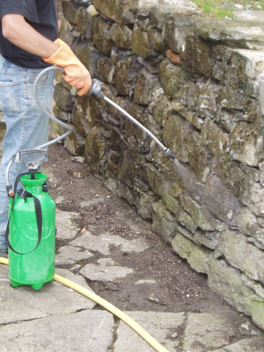 Applicazione biocida su facciata